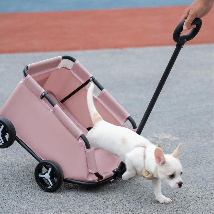 Portable Foldable Pet Stroller for Small Dogs and Cats